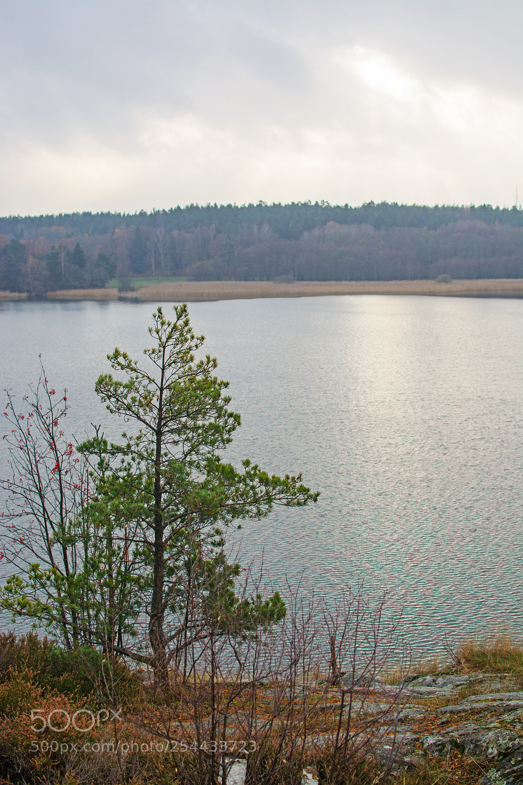 Nikon D7100 sample photo. Lake view photography