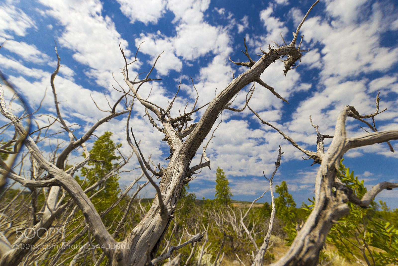 Canon EOS 60D sample photo. Croatian landscape photography