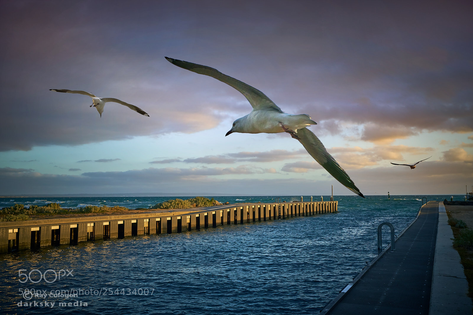 Sony a7R III sample photo. Into the wind photography