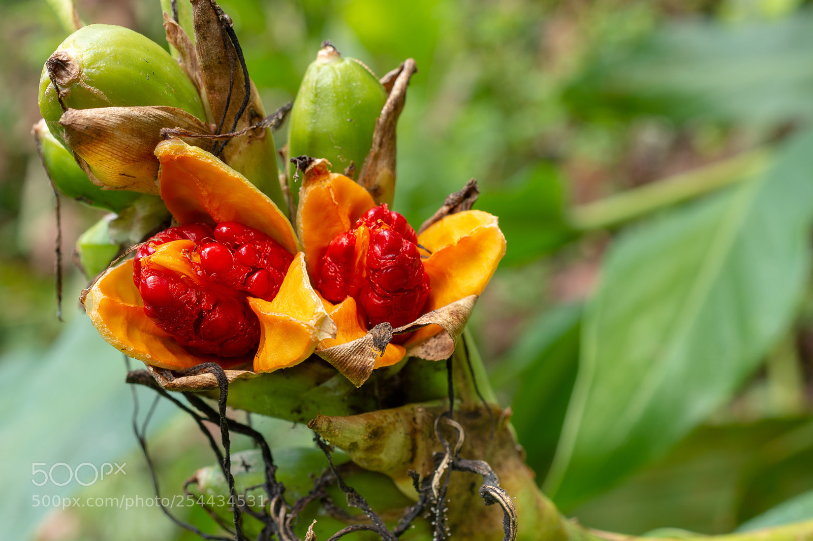 Nikon D7200 sample photo. Colors photography