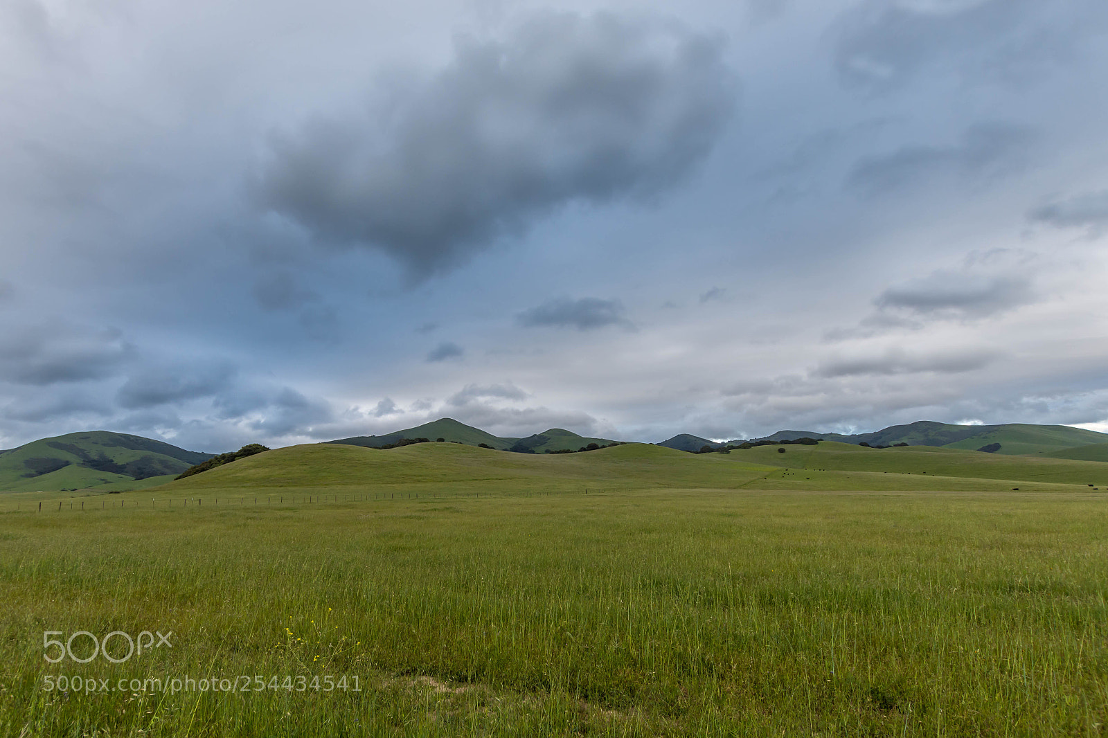 Nikon D7200 sample photo. Green meadows photography