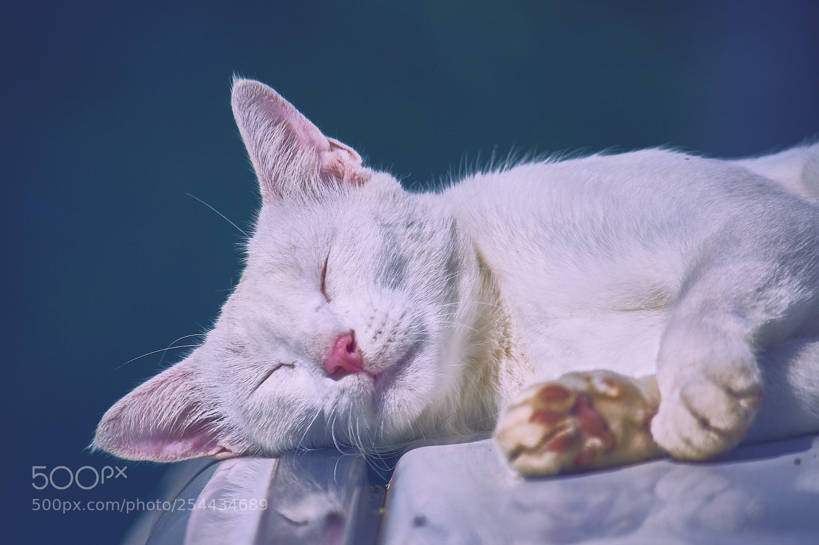Canon EOS 70D sample photo. S l e e photography