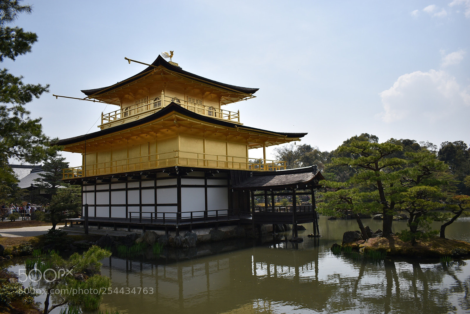 Nikon D5600 sample photo. Golden temple photography