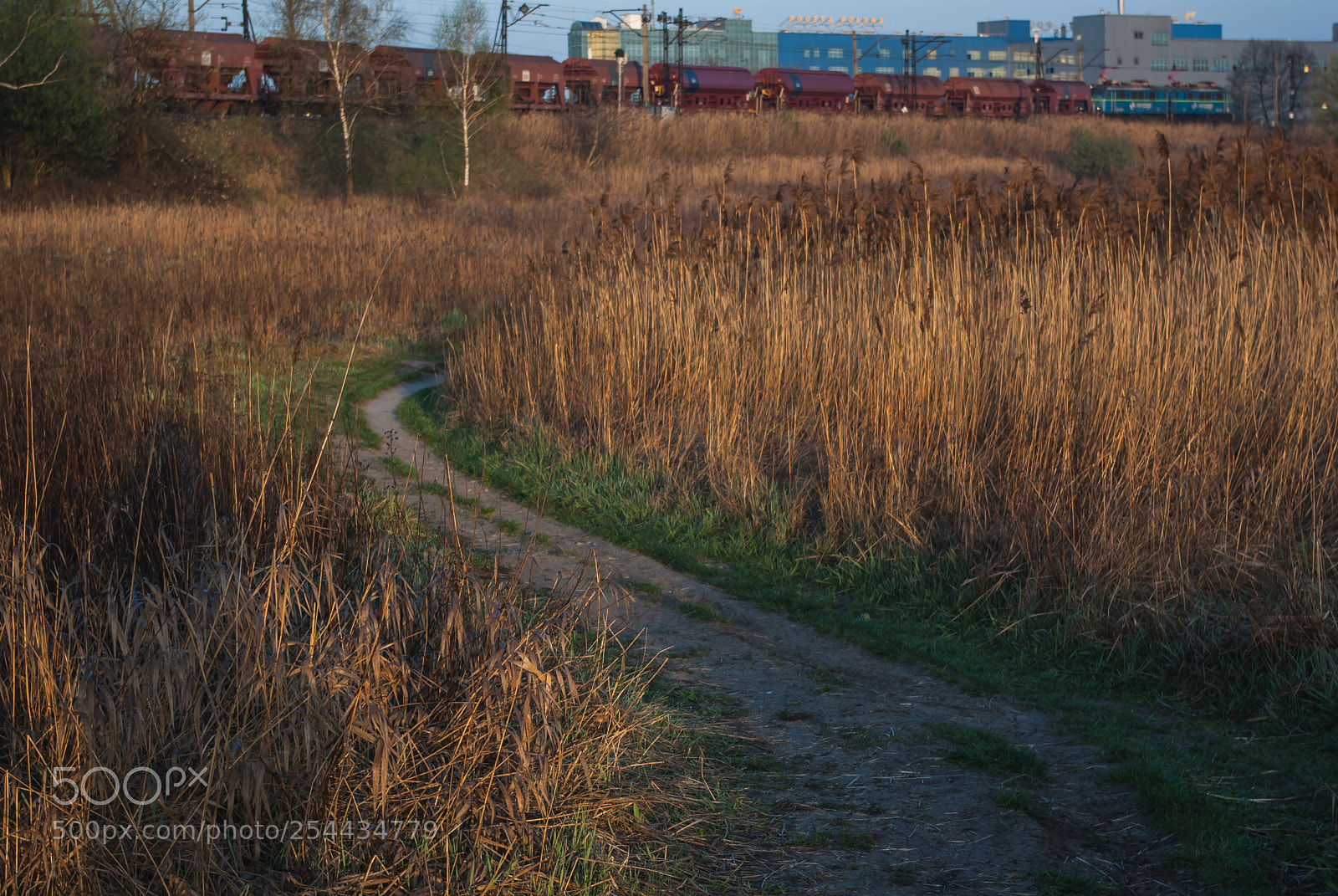 Pentax K10D sample photo. Train photography
