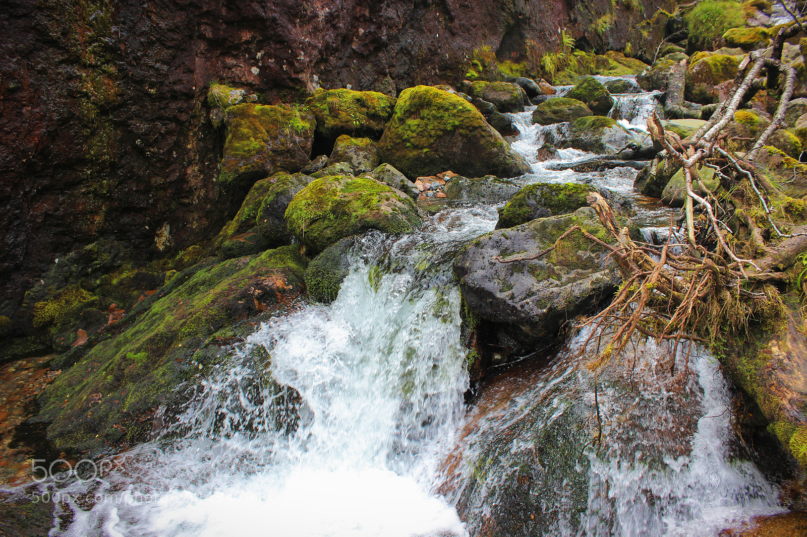 Canon EOS 600D (Rebel EOS T3i / EOS Kiss X5) sample photo. Mossy stream photography