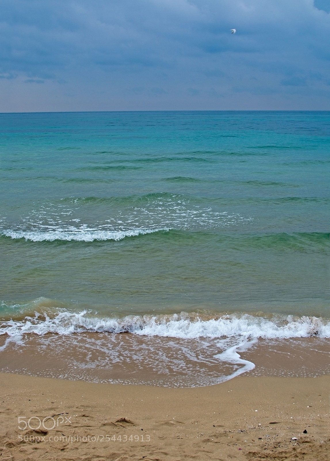 Nikon D7100 sample photo. Green water sand and photography