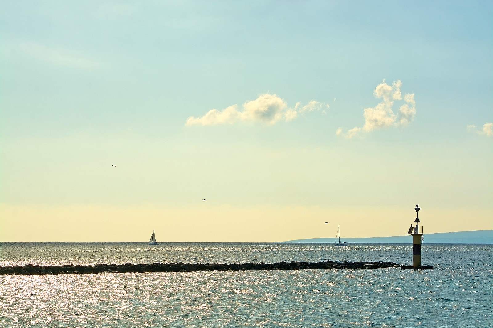 Nikon D7100 sample photo. Maritime inlet with birds photography