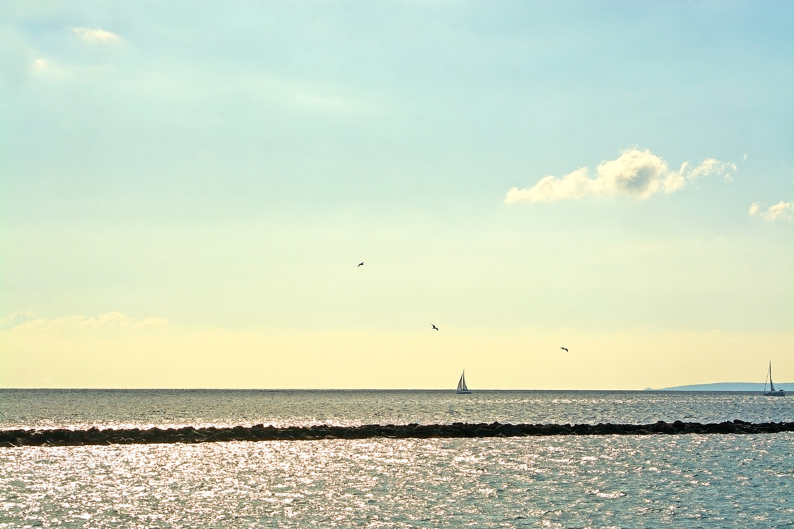 Nikon D7100 sample photo. Sailboat and birds photography