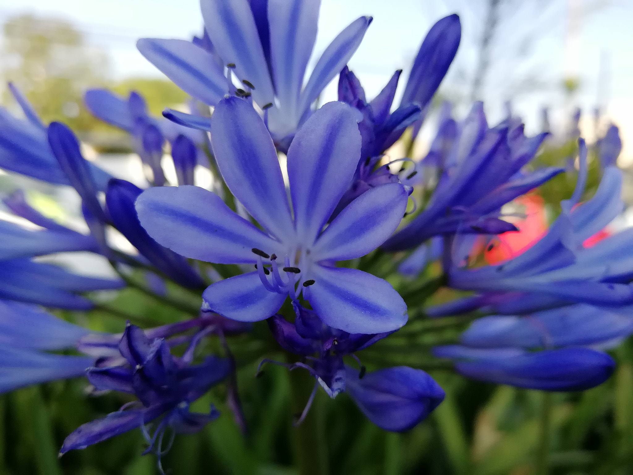 HUAWEI nova 2 Plus sample photo