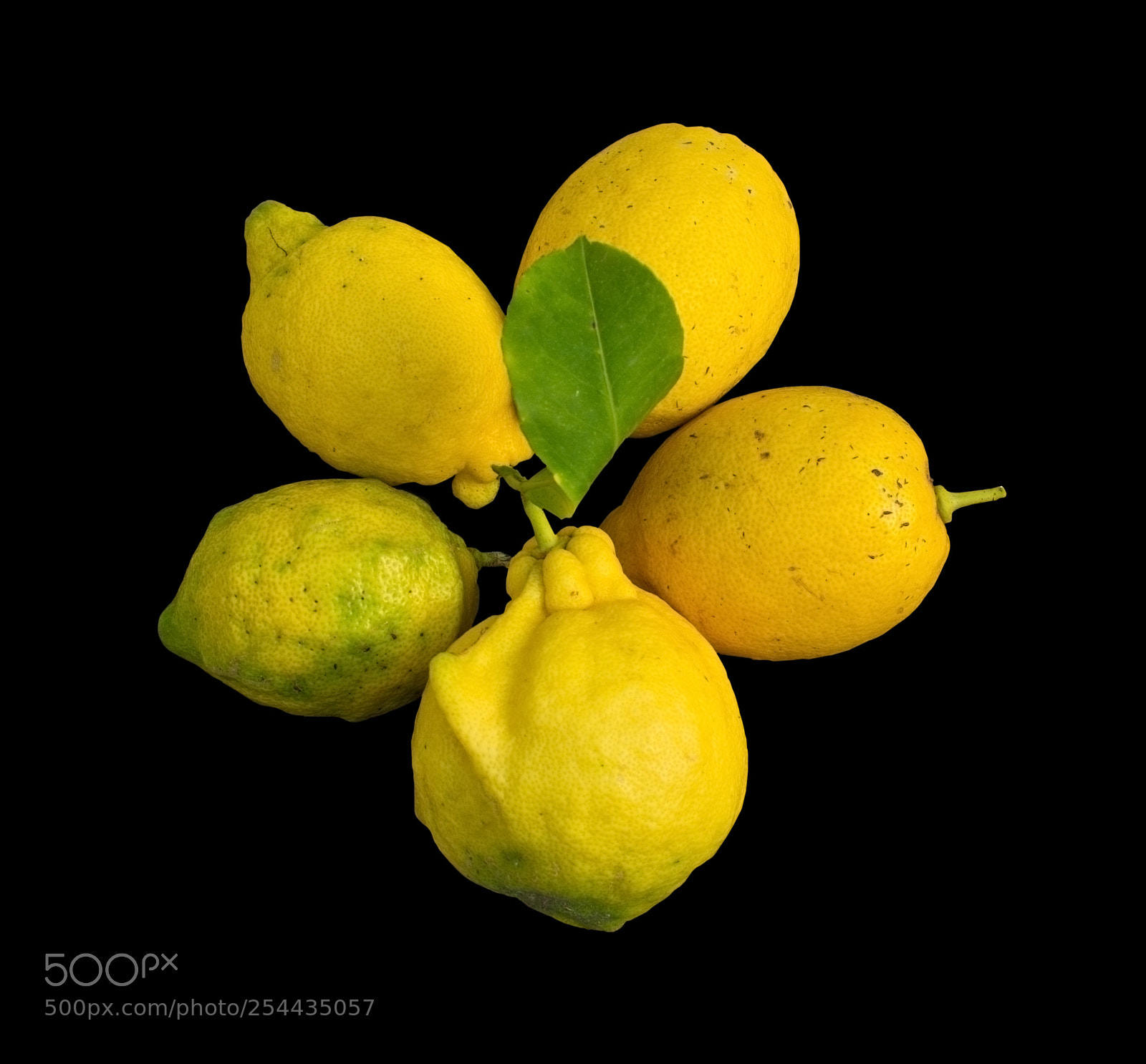 Nikon D7100 sample photo. Fresh organic lemons plate photography