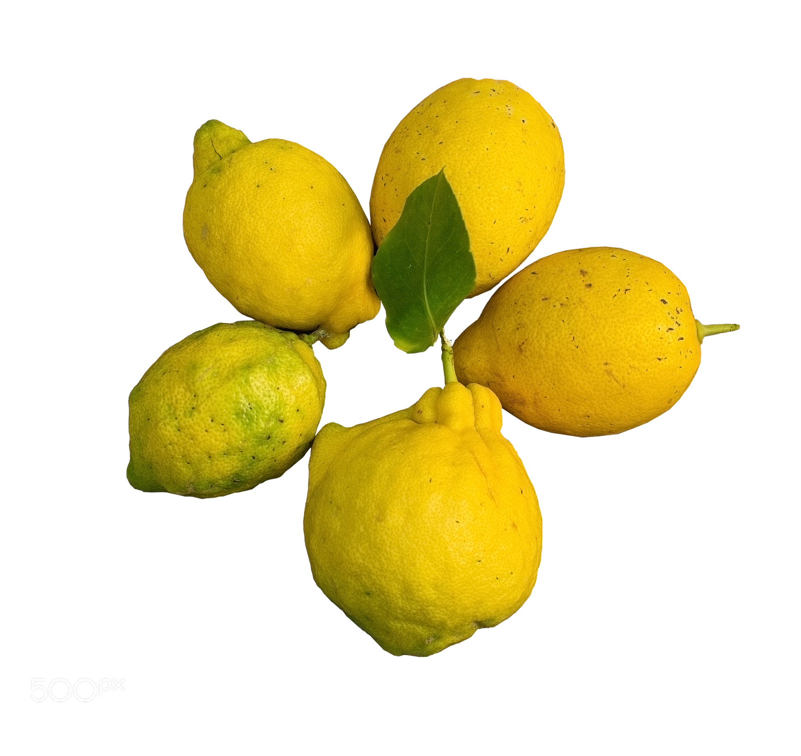 Nikon D7100 sample photo. Fresh organic lemons plate photography