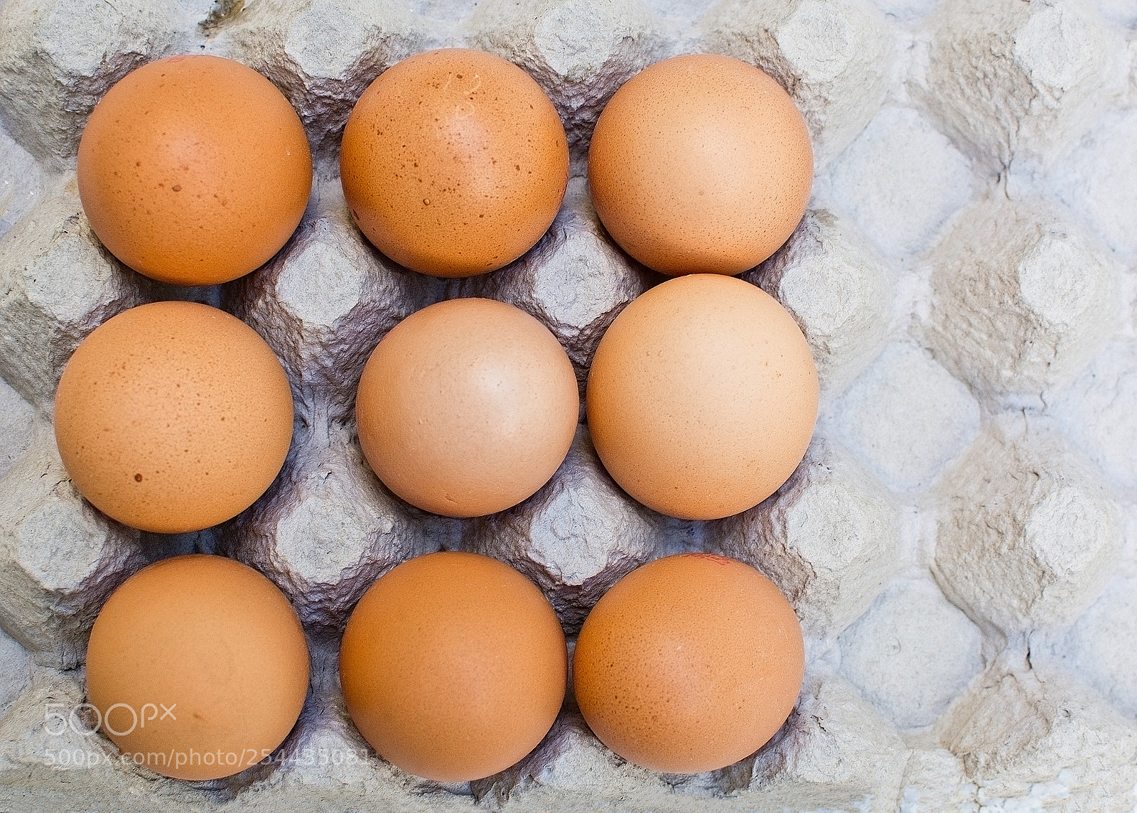 Nikon D7100 sample photo. Fresh brown eggs in photography