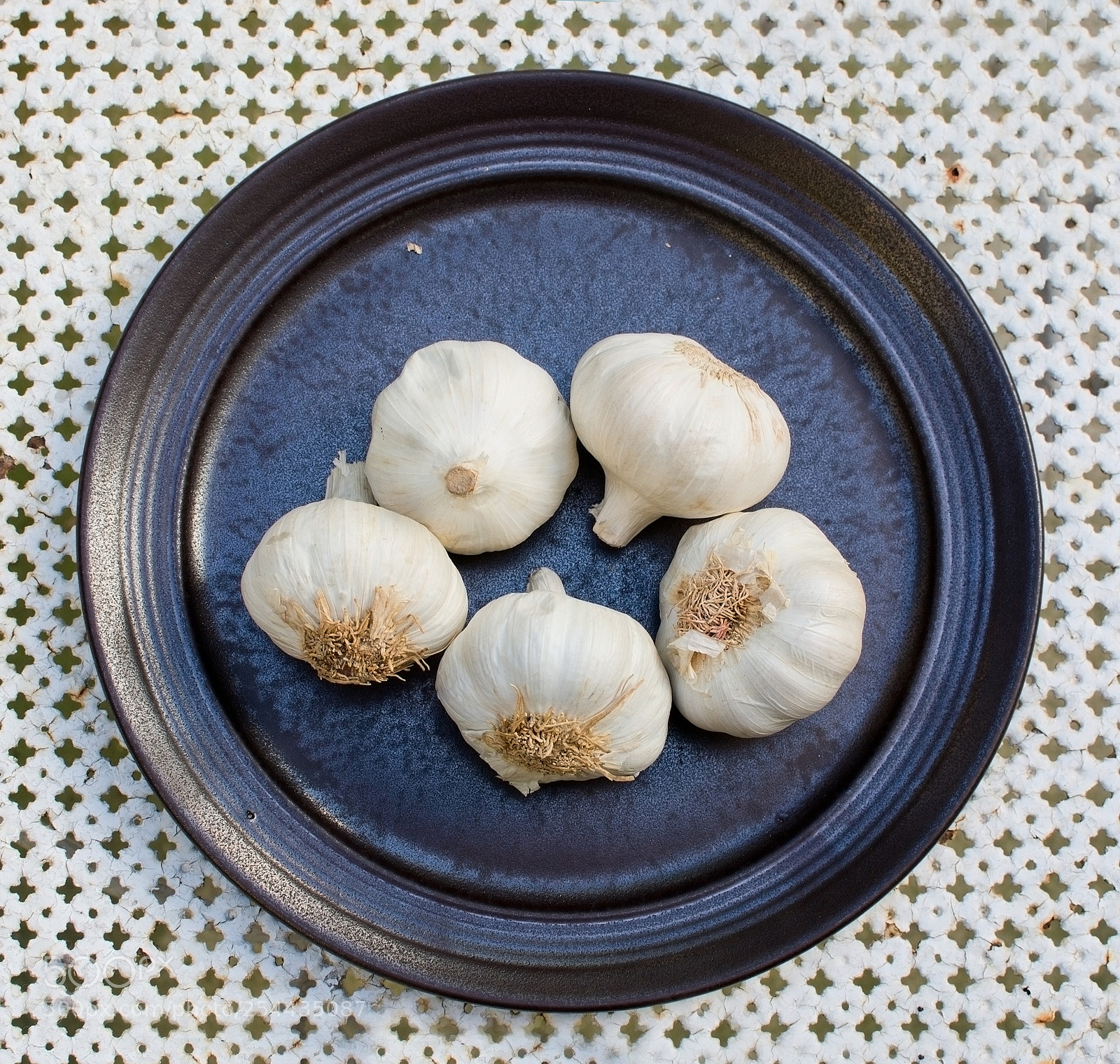 Nikon D7100 sample photo. Fresh garlic plate photography