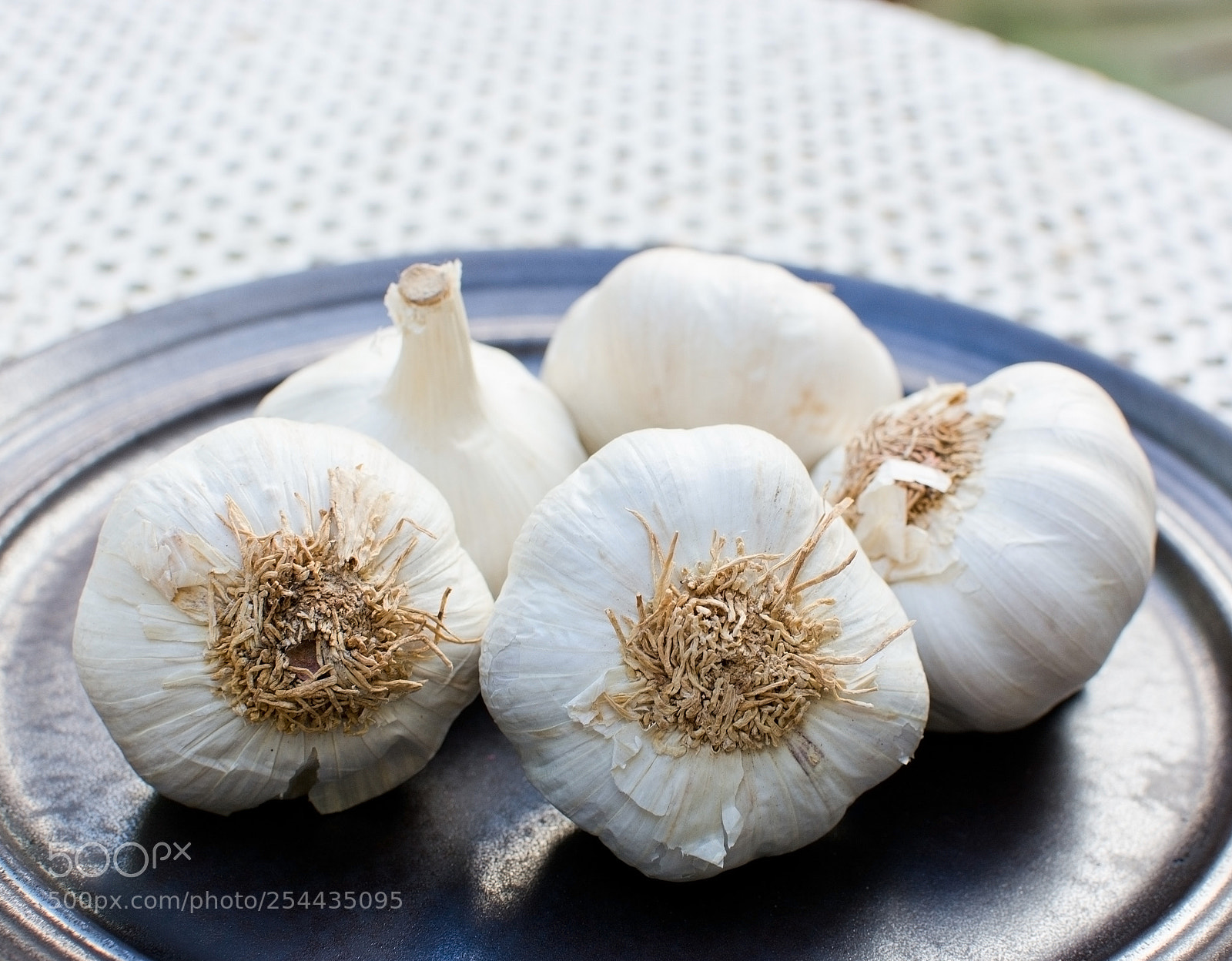 Nikon D7100 sample photo. Fresh garlic plate photography
