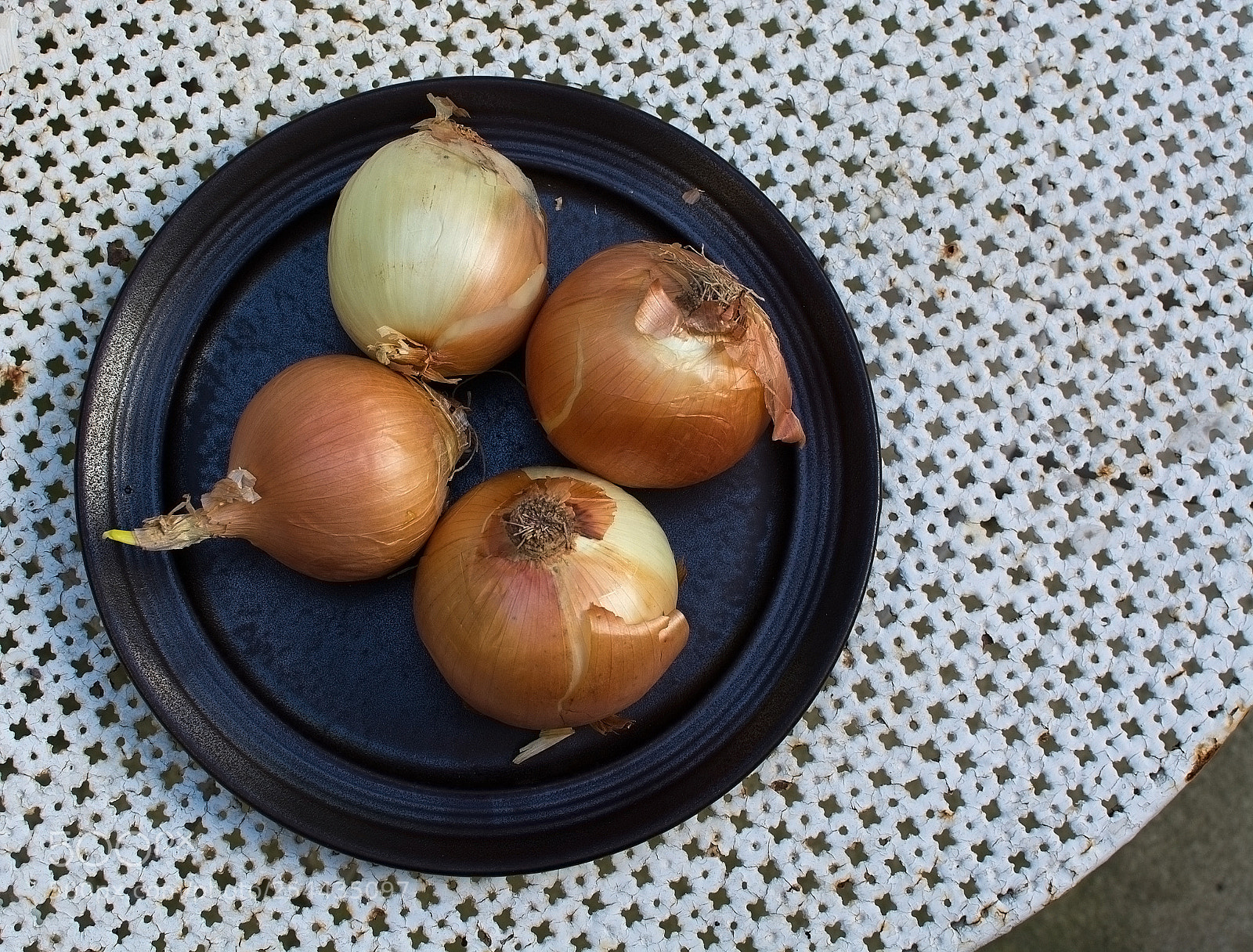 Nikon D7100 sample photo. Fresh yellow onions plate photography