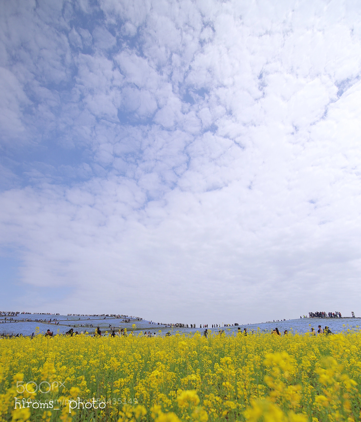 Canon EOS 6D Mark II sample photo. Untitled photography