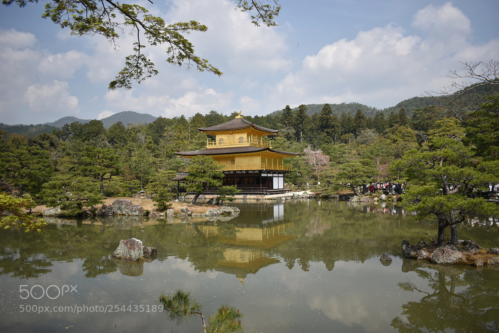 Nikon D5600 sample photo. Kinkakuji photography