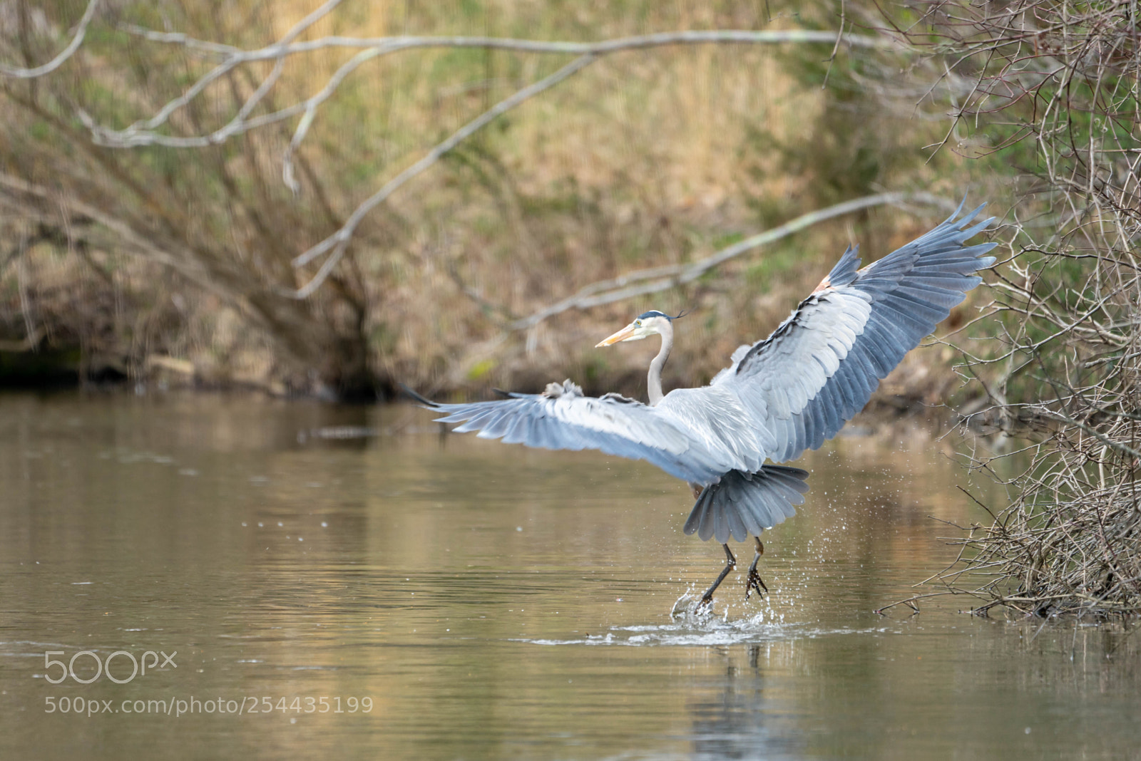 Sony a7R sample photo. About to take off photography