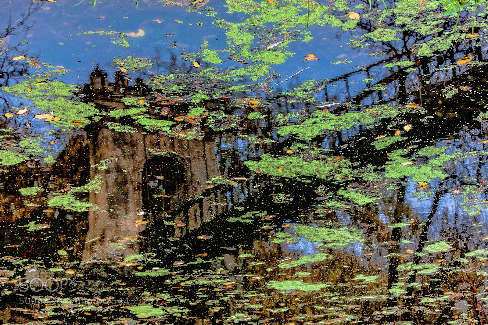 Canon EOS 40D sample photo. Just a reflection photography