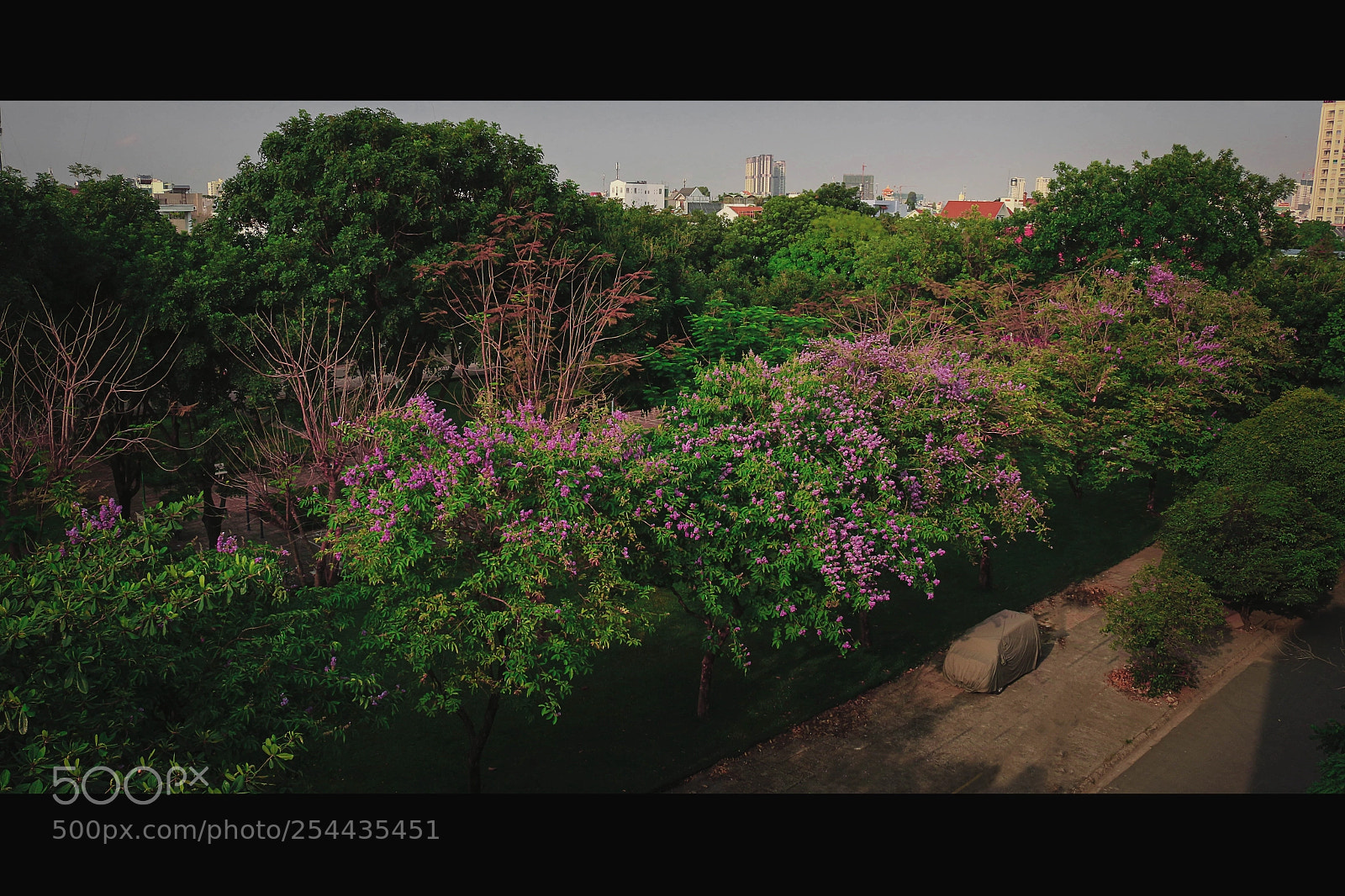 Canon EOS 700D (EOS Rebel T5i / EOS Kiss X7i) sample photo. Lagerstroemia photography