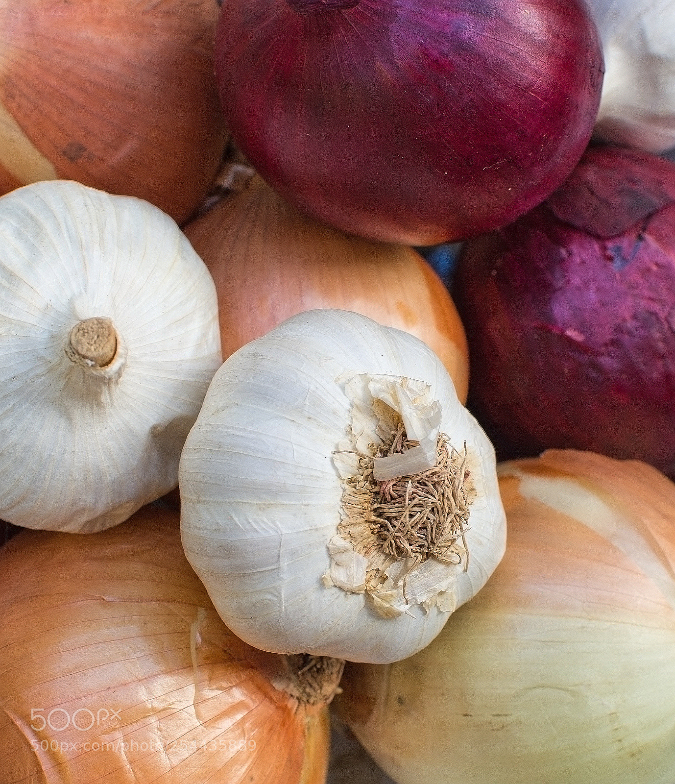 Nikon D7100 sample photo. Fresh mixed onions plate photography