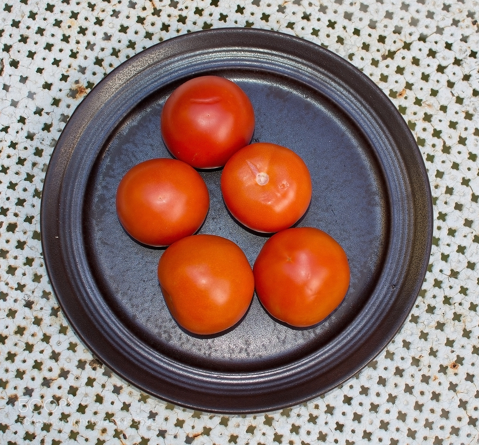 Nikon D7100 sample photo. Fresh red tomatoes plate photography