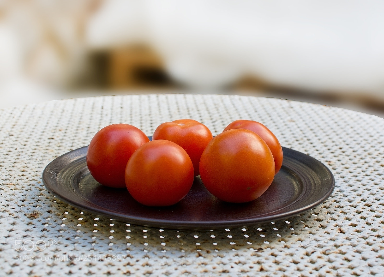Nikon D7100 sample photo. Fresh red tomatoes plate photography