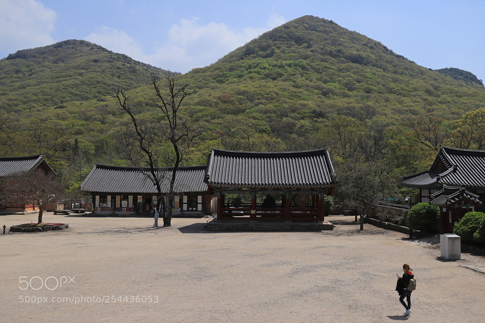 Canon EOS 6D Mark II sample photo. Simply photography