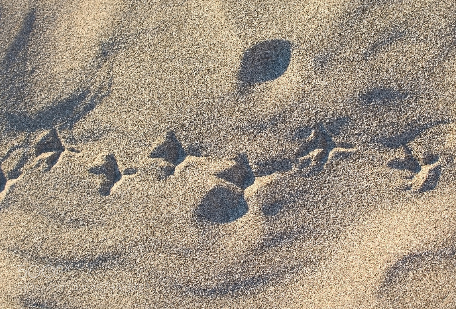 Nikon D7100 sample photo. Beach sand pattern closeup photography