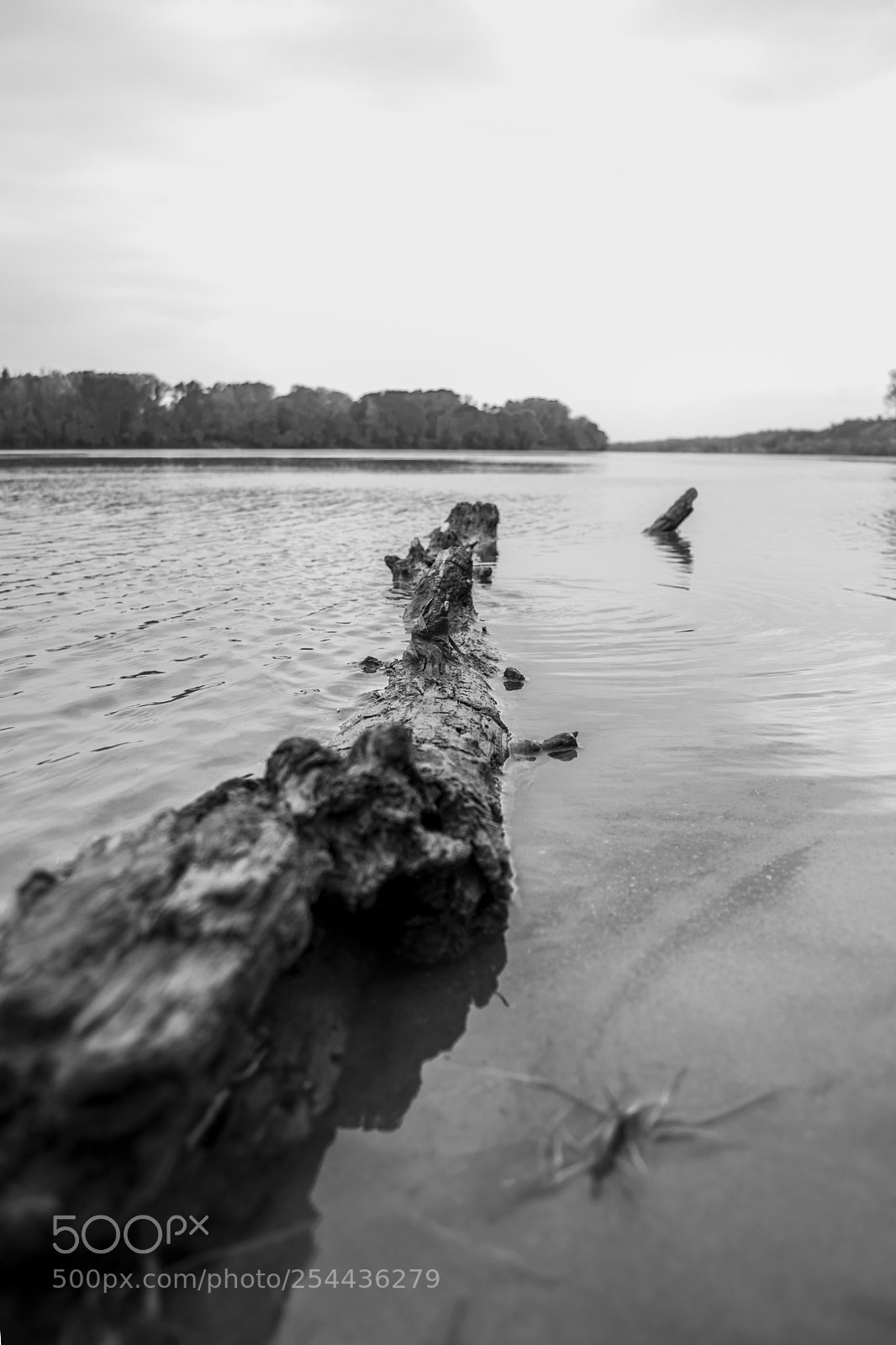 Nikon D5300 sample photo. B&w photography