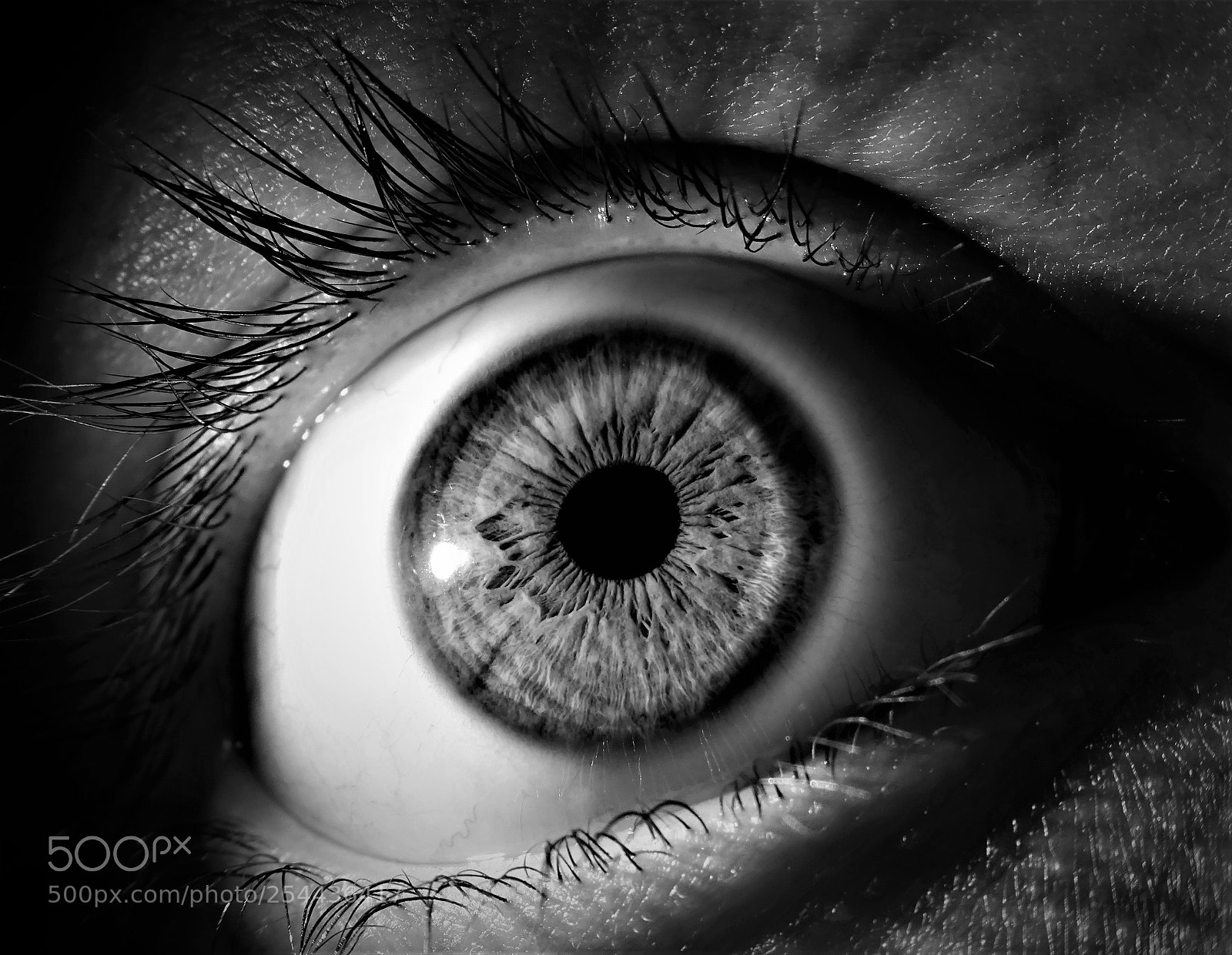 Sony DSC-HX60V sample photo. Eye photography