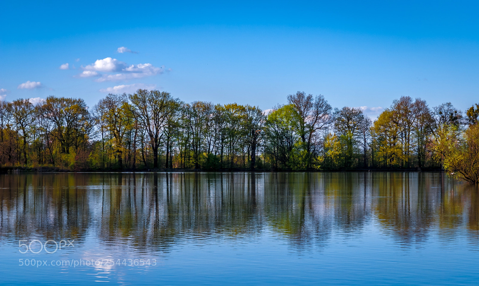 Nikon D40X sample photo. Reflection photography