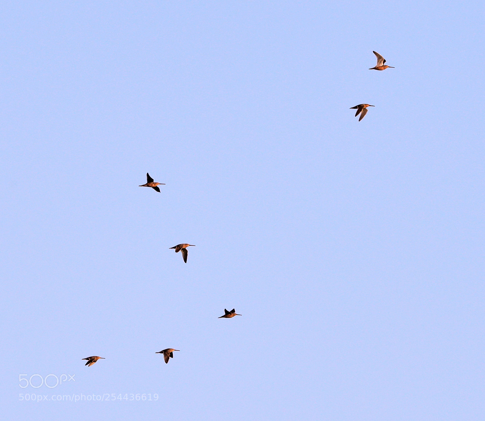 Canon EOS-1D X Mark II sample photo. 04-20-18-0013866.jpg photography
