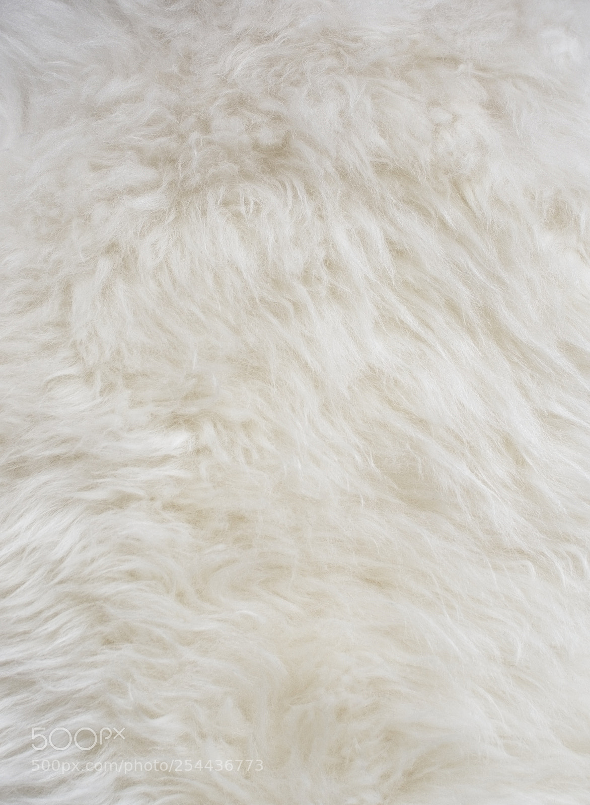 Nikon D7100 sample photo. Natural sheepskin background texture photography