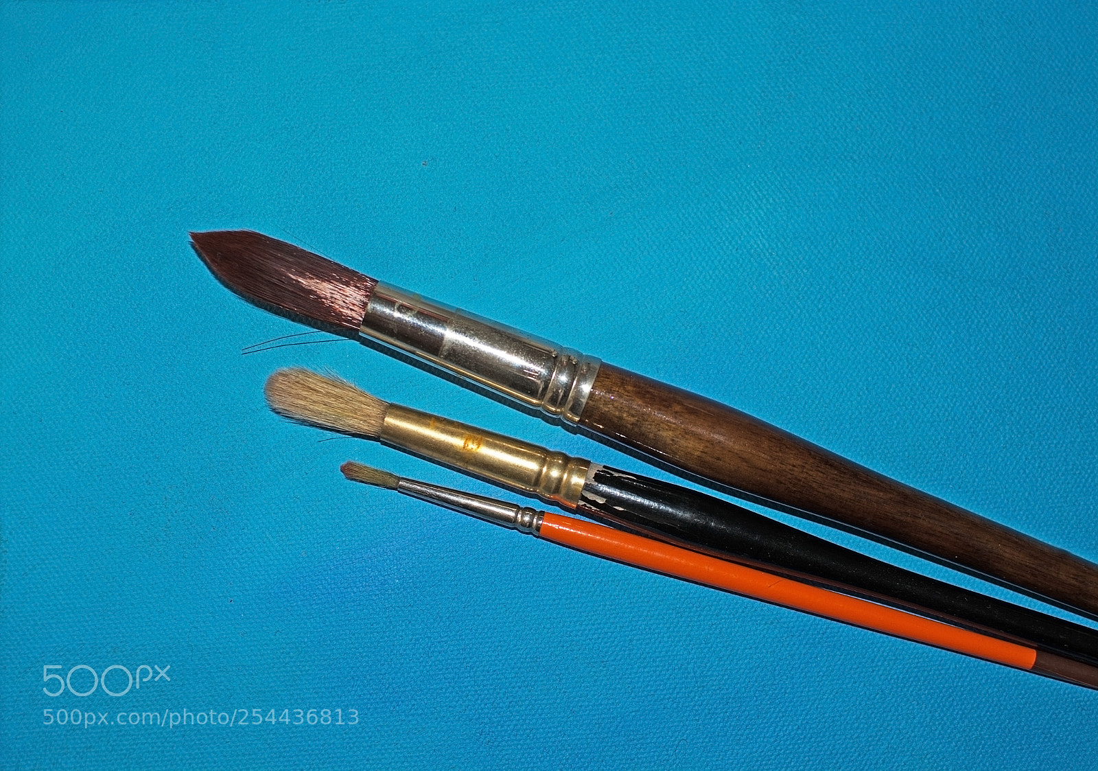 Nikon D7100 sample photo. Three brush sizes photography