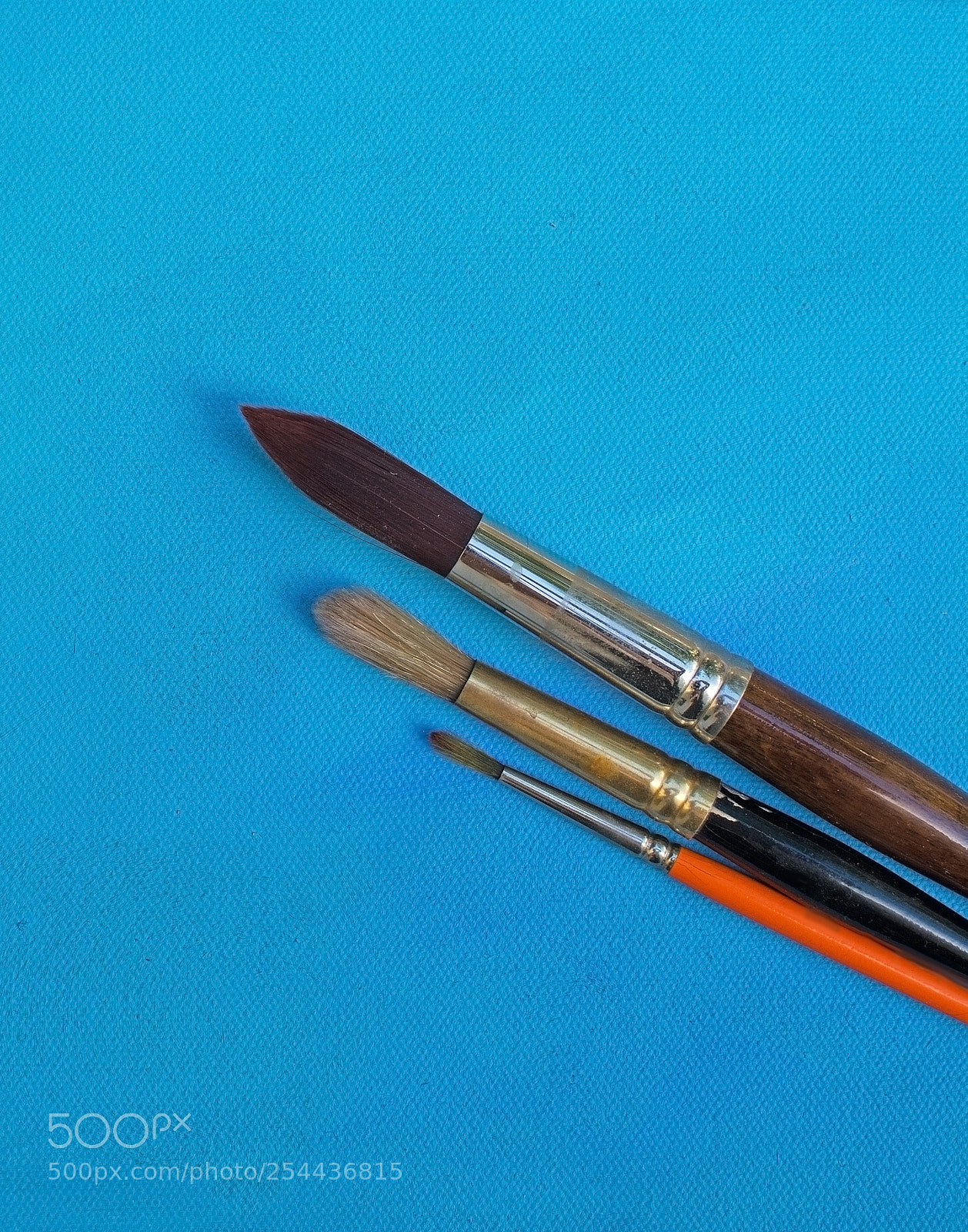 Nikon D7100 sample photo. Three brush sizes photography