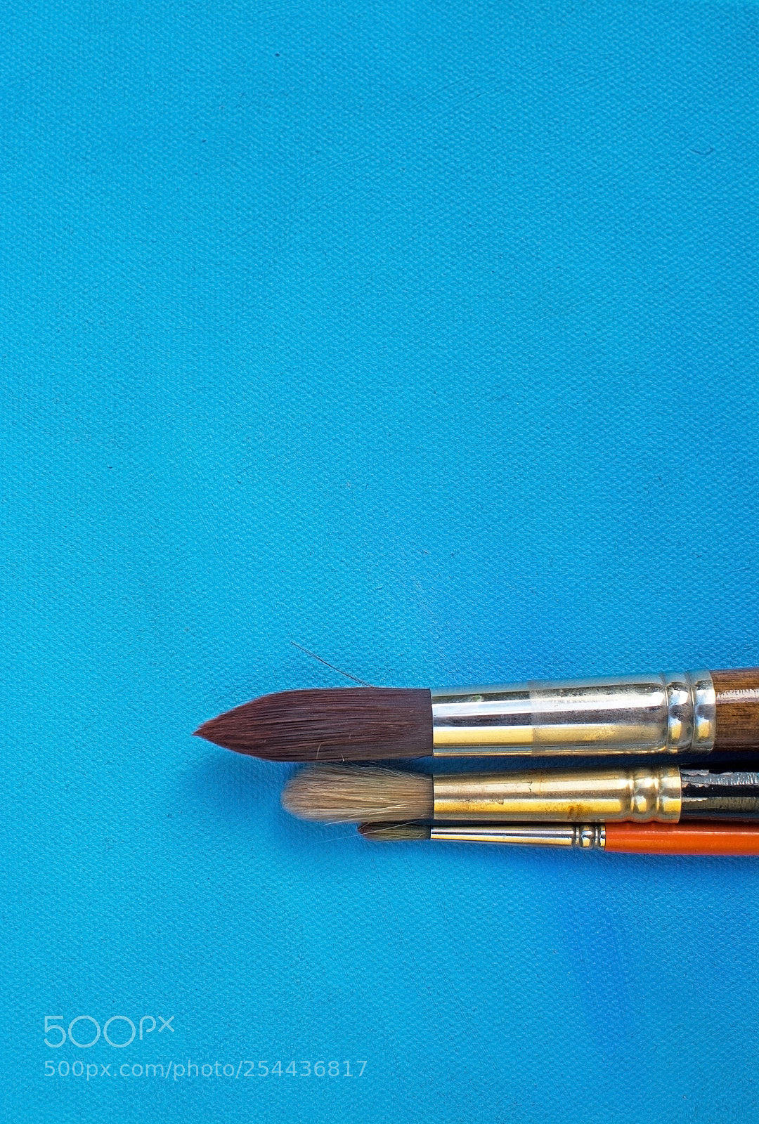 Nikon D7100 sample photo. Three brush sizes photography