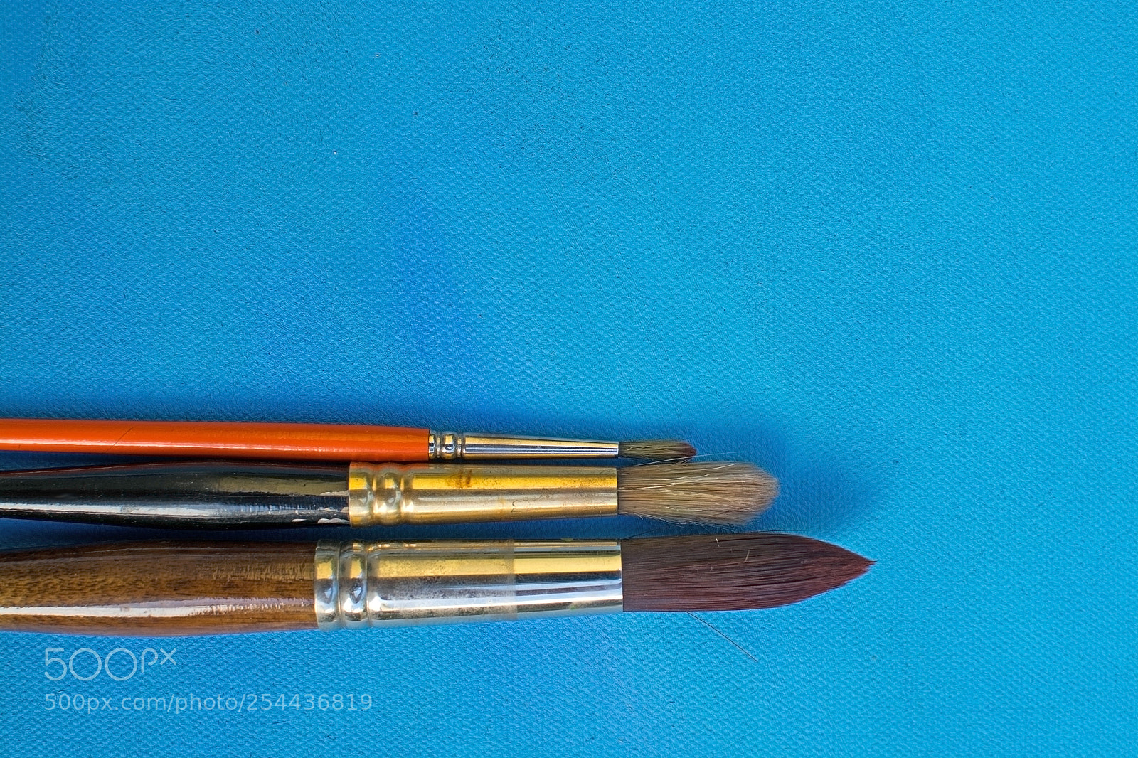 Nikon D7100 sample photo. Three brush sizes photography