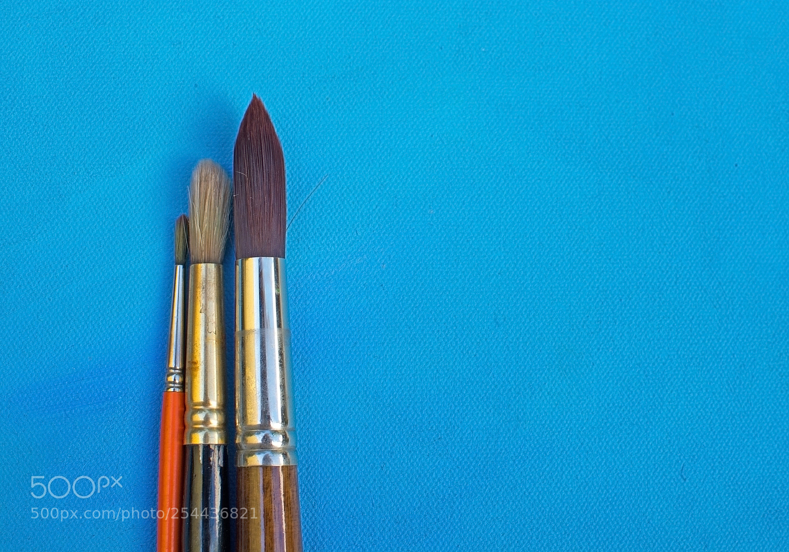 Nikon D7100 sample photo. Three brush sizes photography