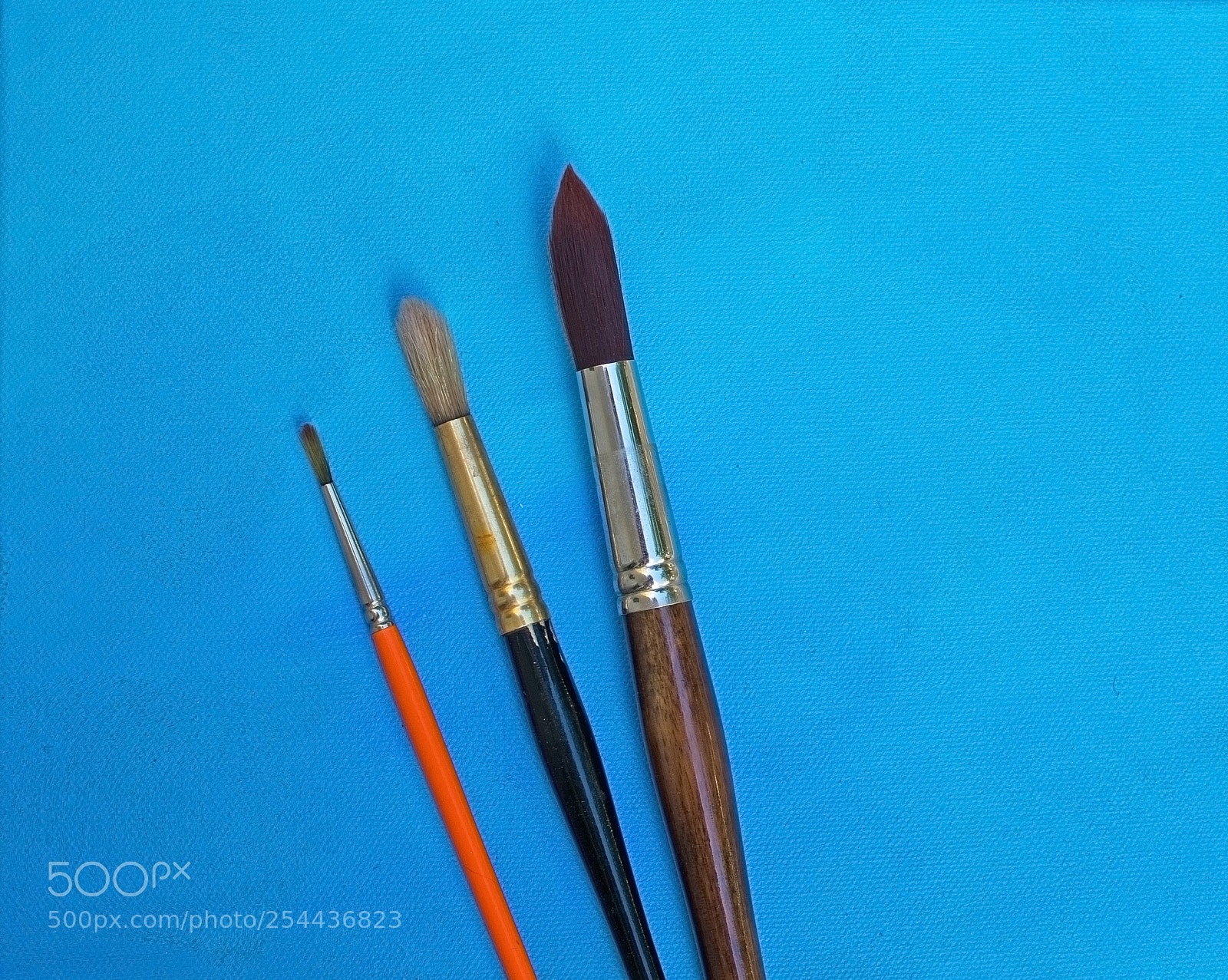 Nikon D7100 sample photo. Three brush sizes photography