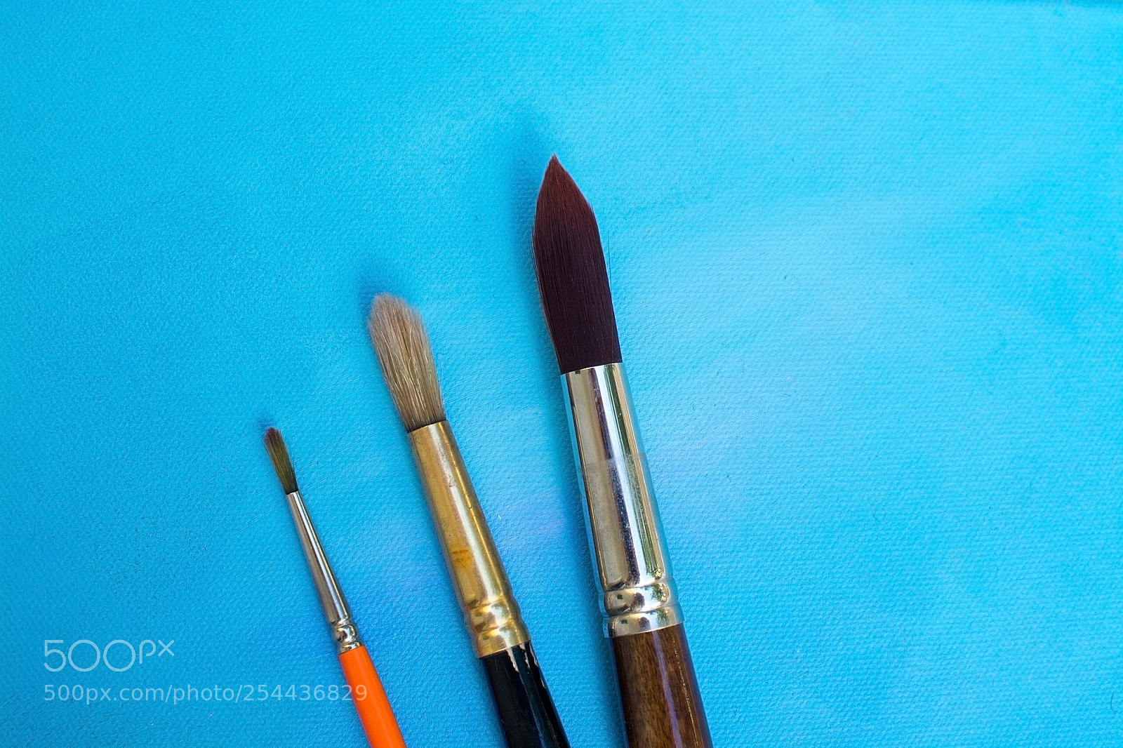 Nikon D7100 sample photo. Three brush sizes photography