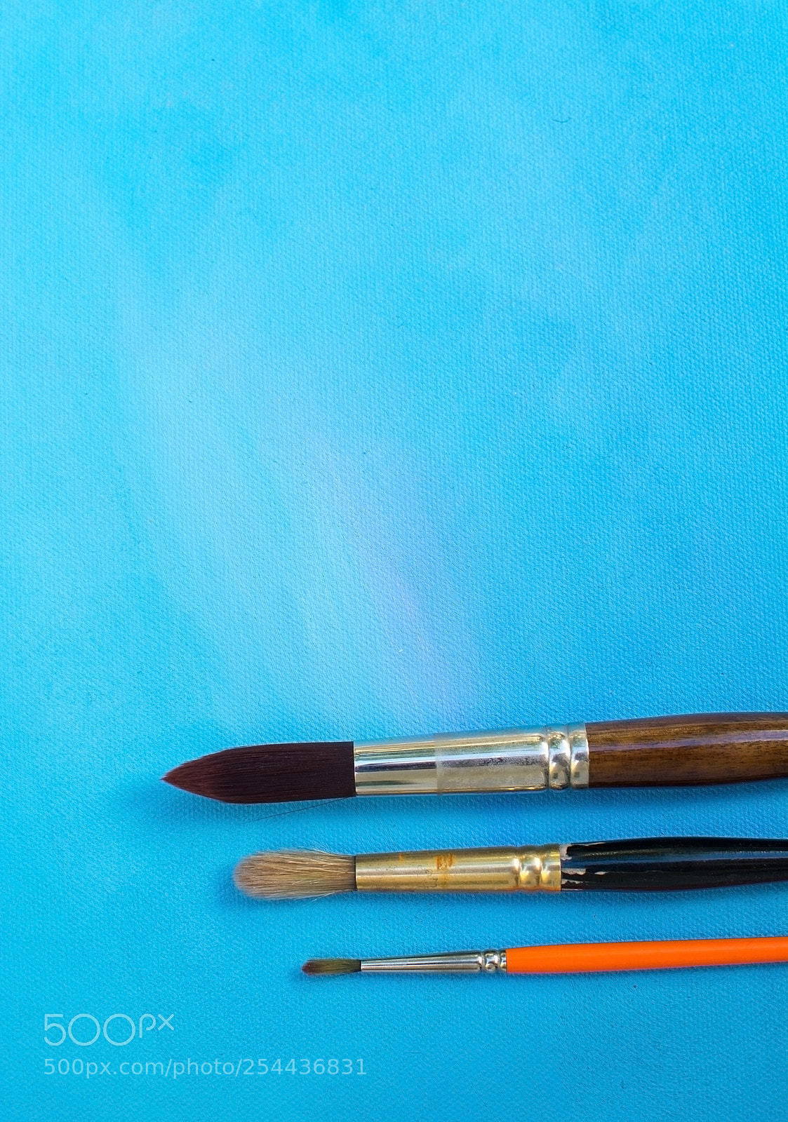 Nikon D7100 sample photo. Three brush sizes photography
