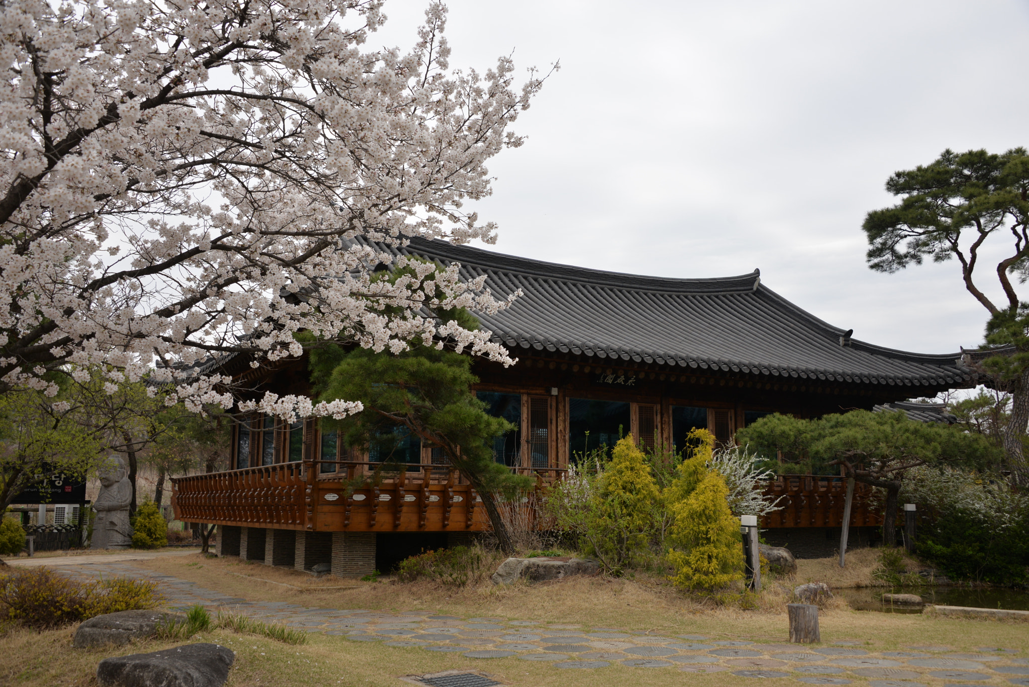 Nikon D610 sample photo