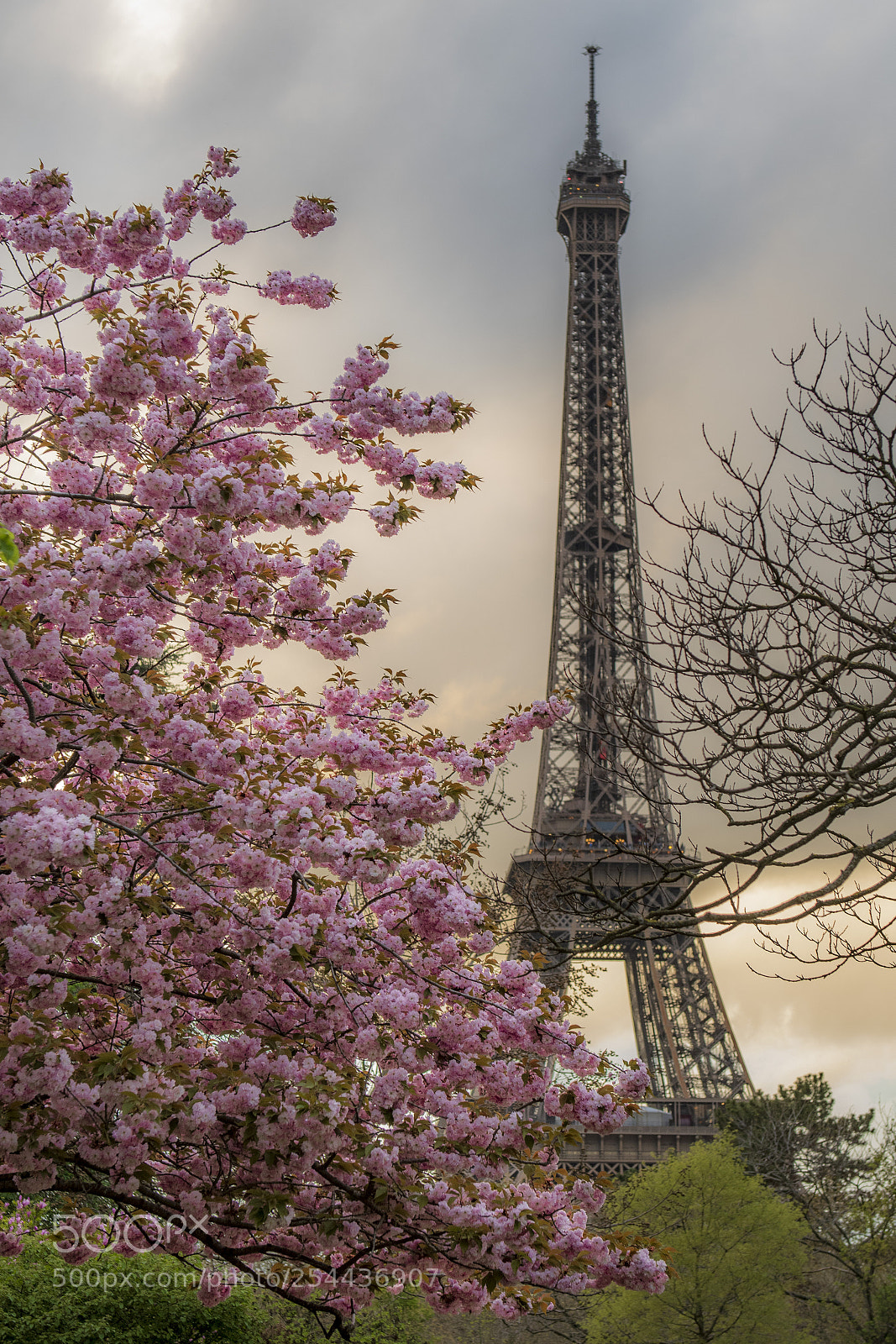 Nikon D500 sample photo. Spring at the eiffel photography