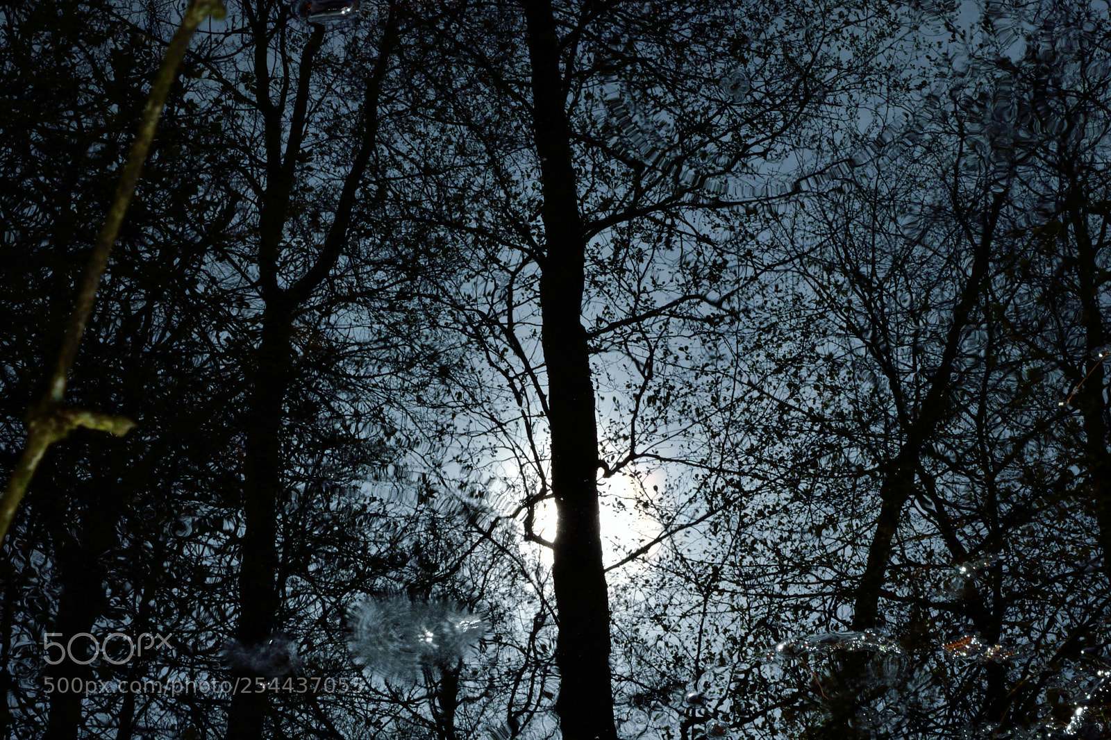 Nikon D3300 sample photo. Mystic photography