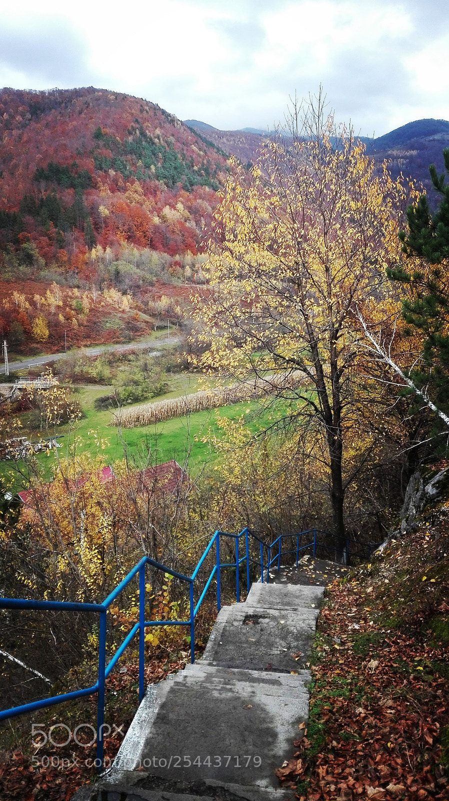 HUAWEI P8 Lite sample photo. Untitled photography