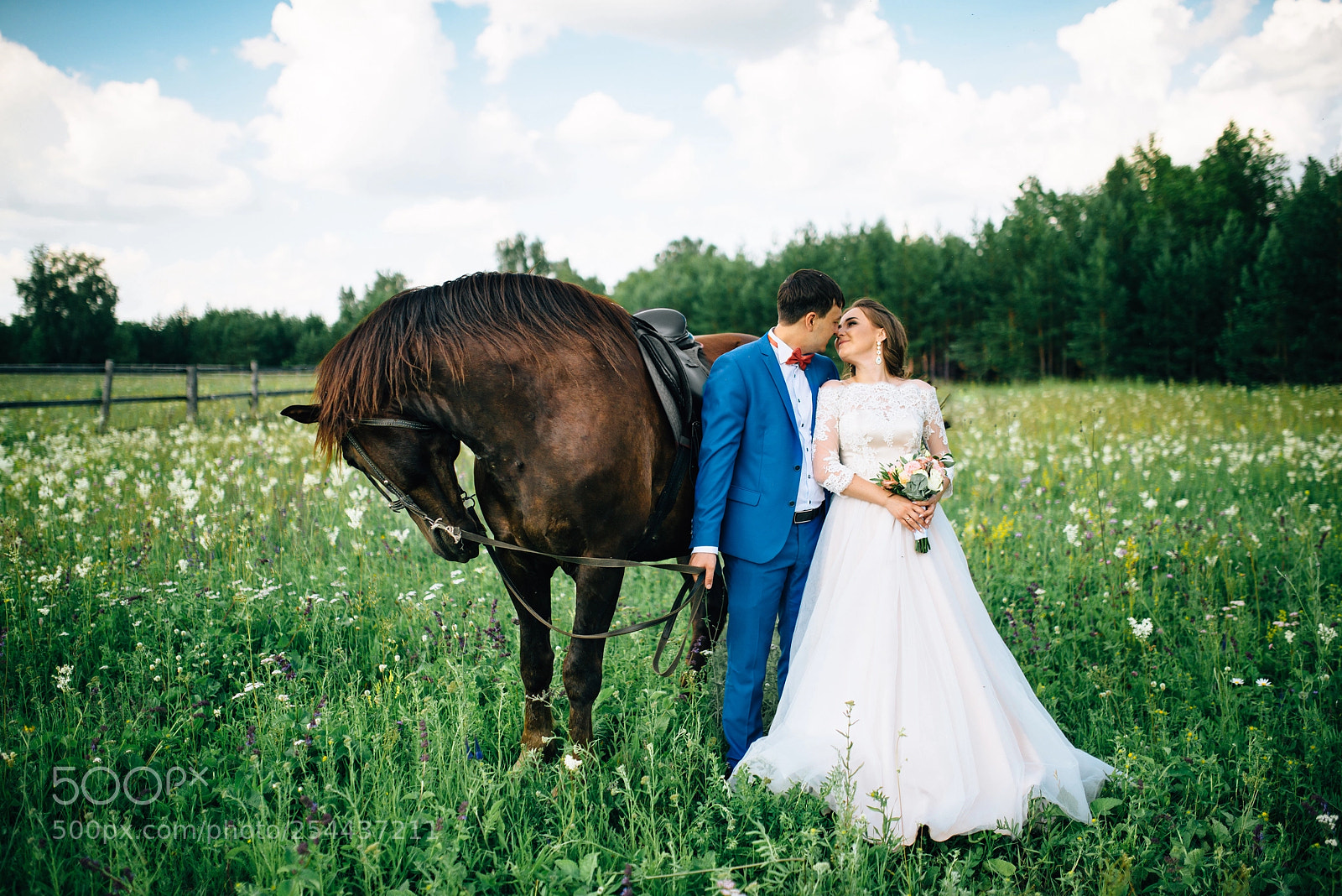 Nikon D800 sample photo. Eduard+rozalina photography