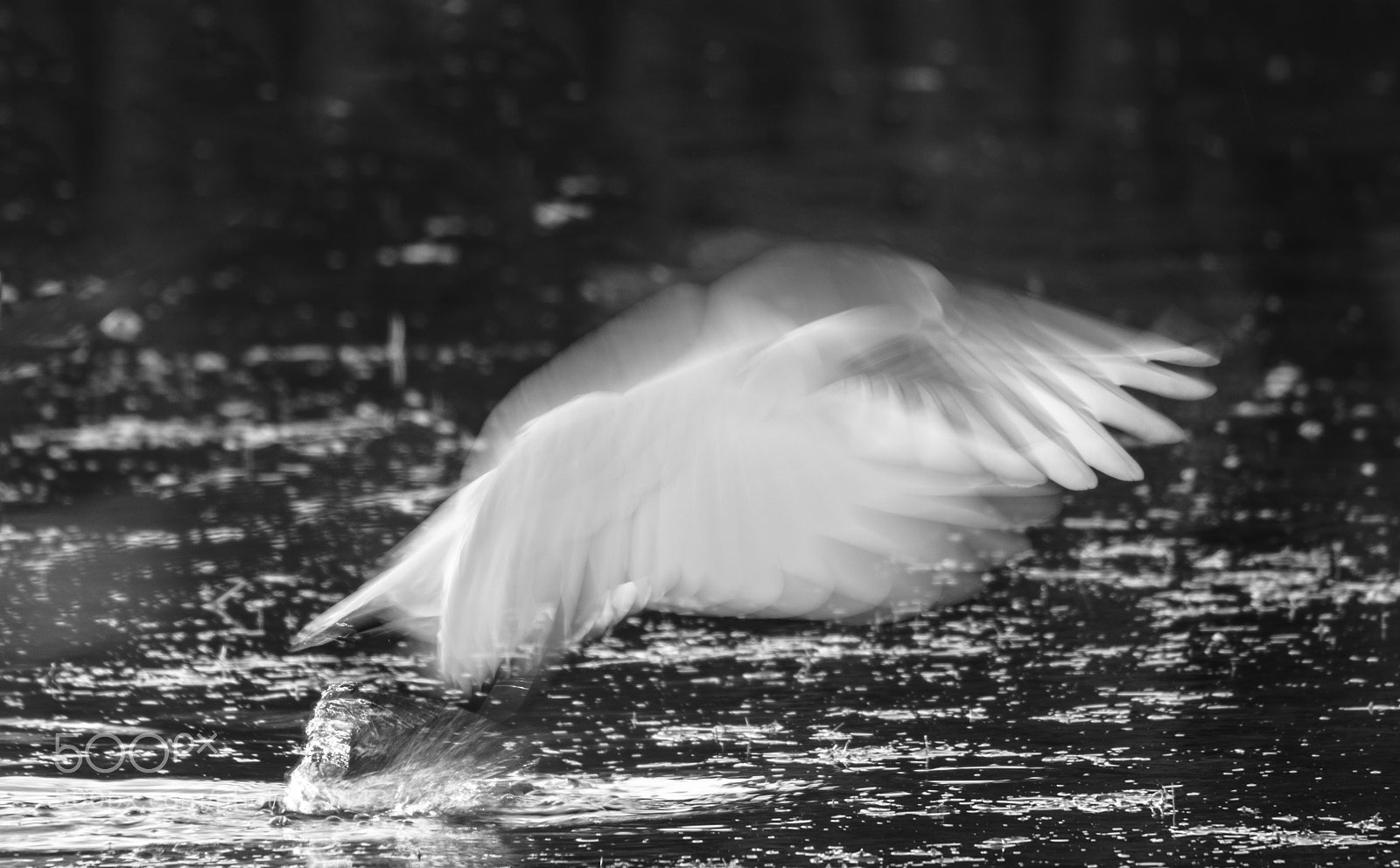 Nikon D7200 sample photo. White lady photography