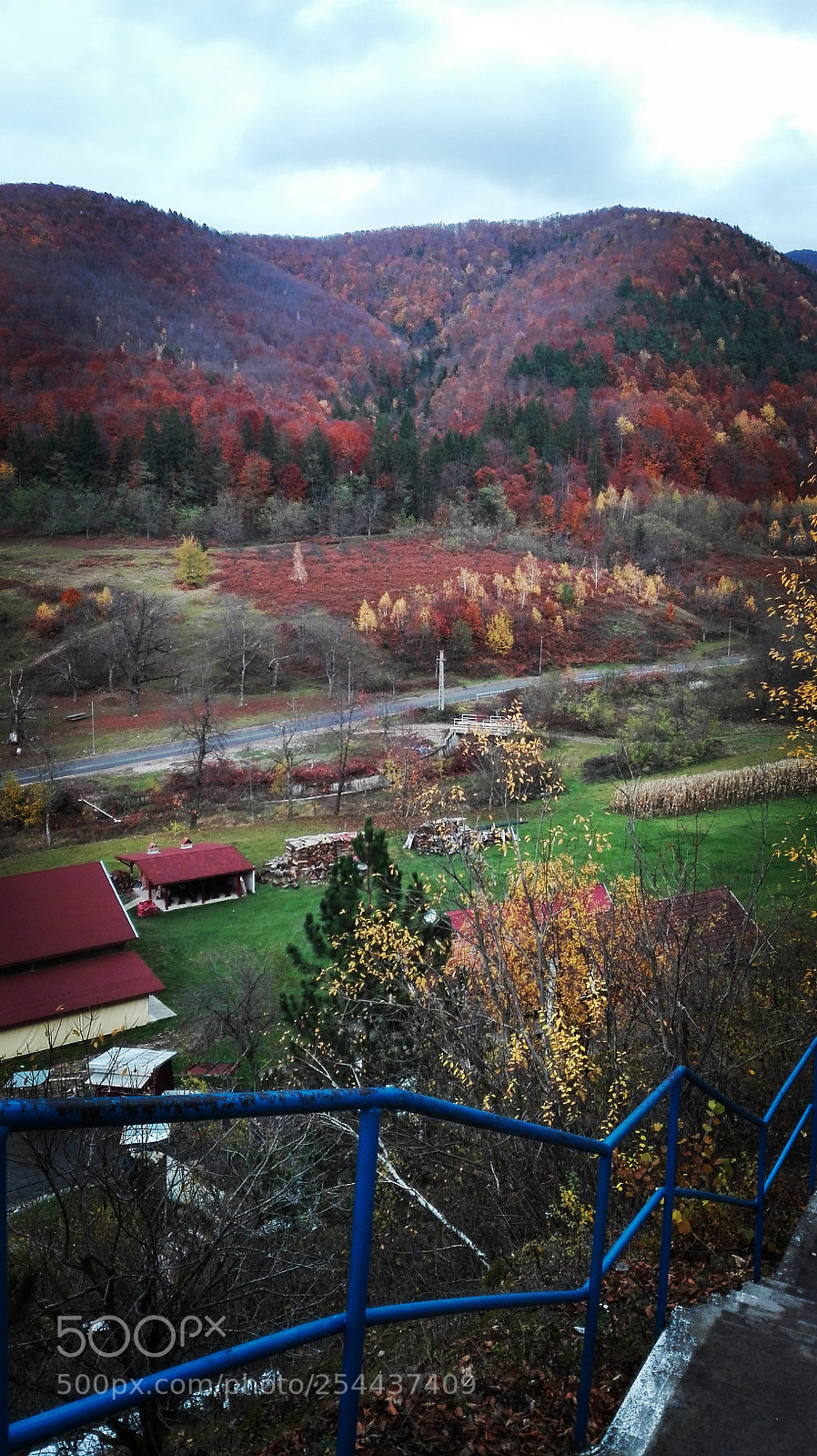 HUAWEI P8 Lite sample photo. Untitled photography