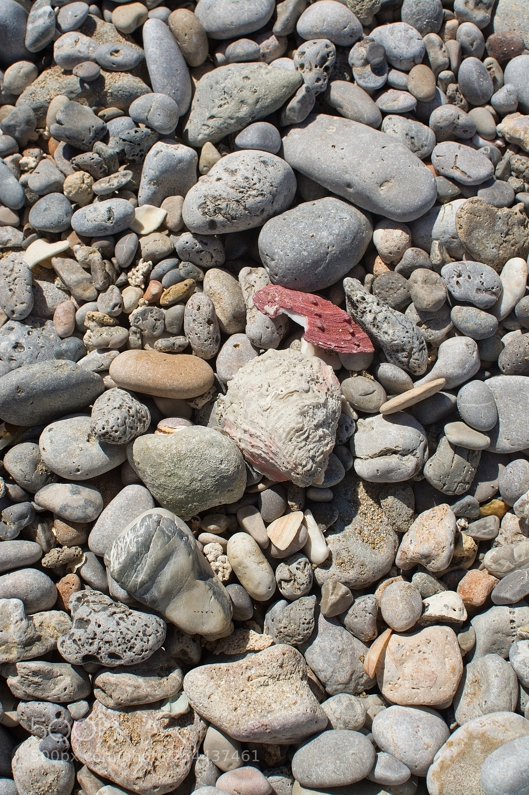 Nikon D7100 sample photo. Beach rocks closeup photography